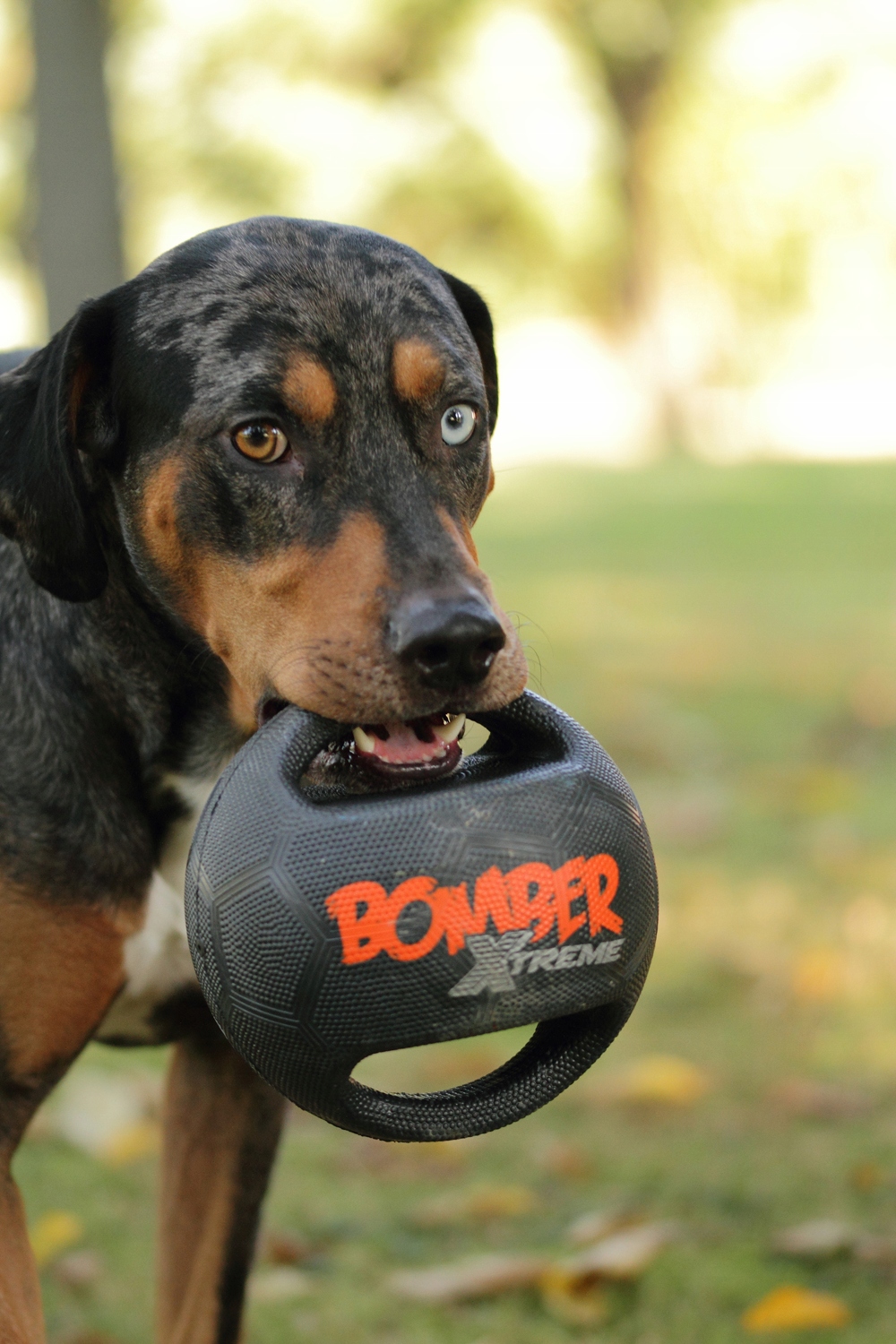 Dwa wygodne uchwyty do zabawy