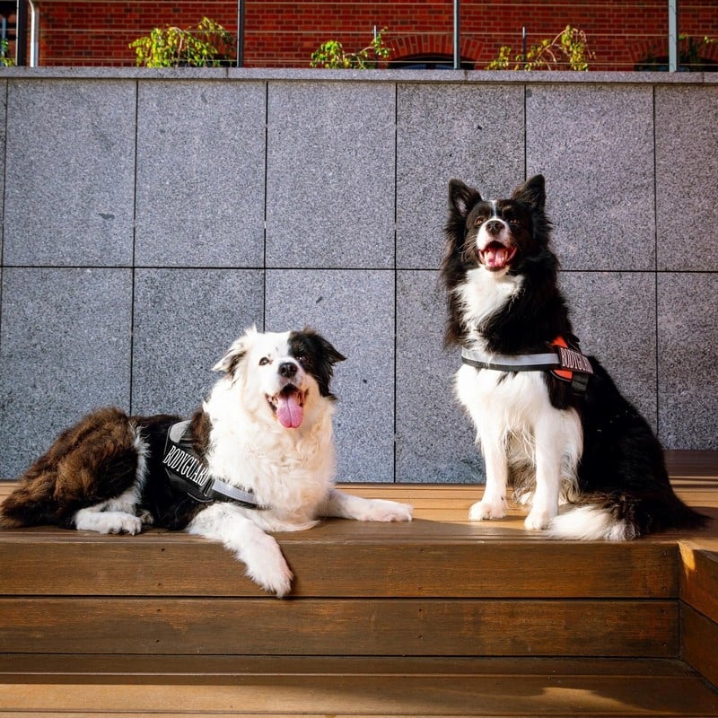 Elementy odblaskowe zwiększające widoczność po zmroku