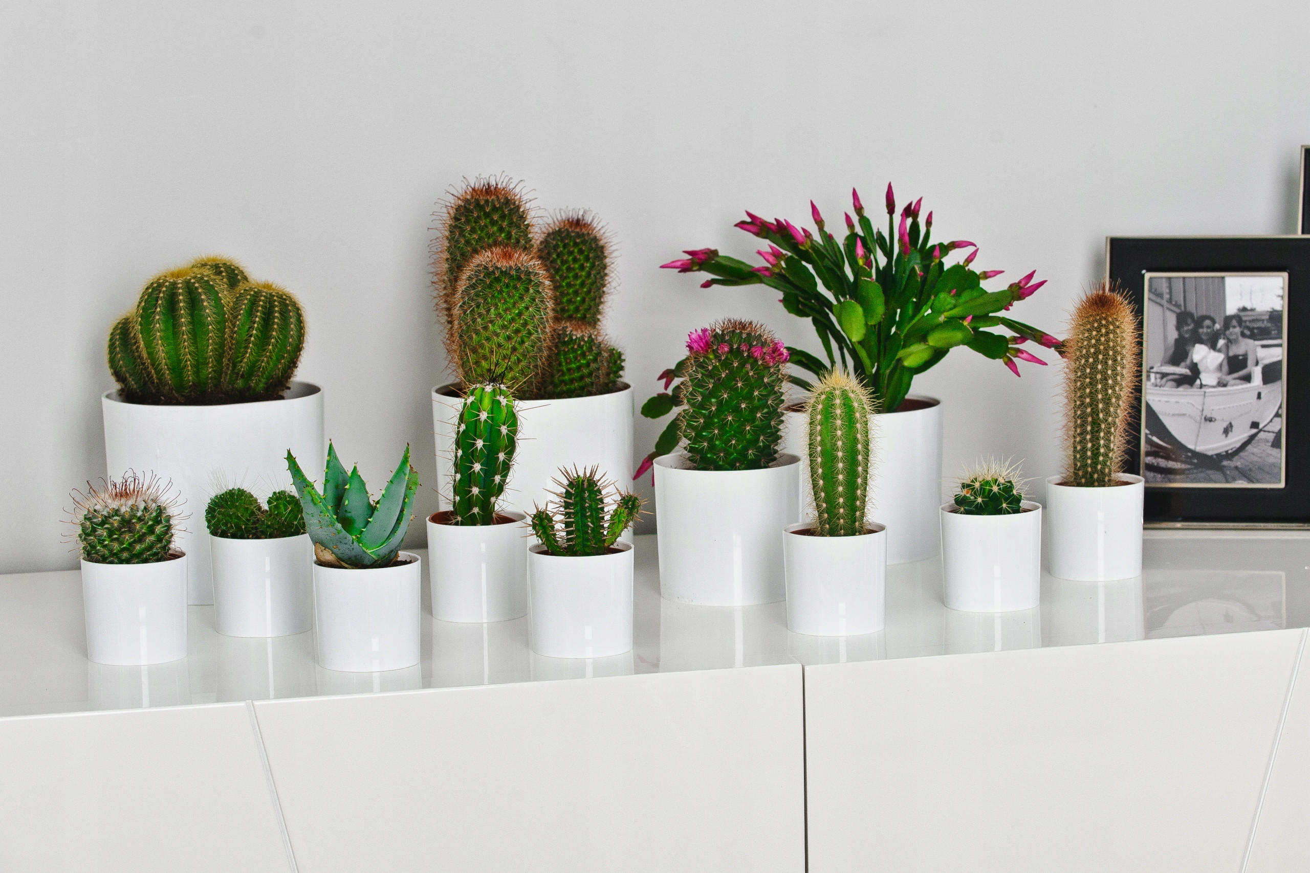 Minimalistyczny design i uniwersalność zastosowania