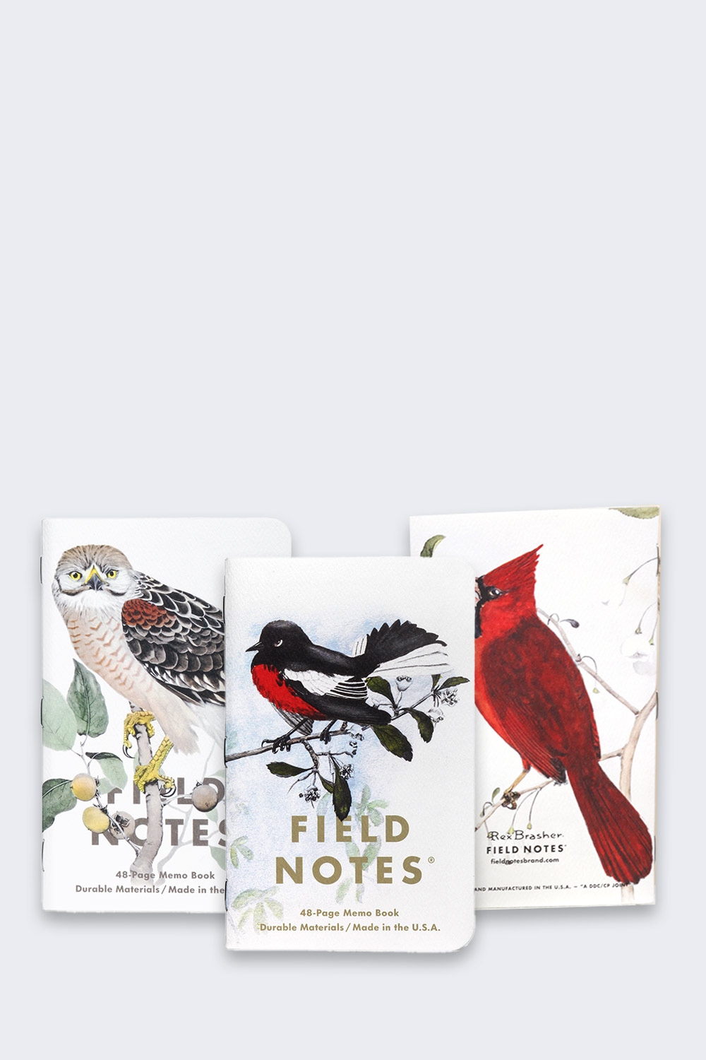 Piękne ilustracje autorstwa Rexa Brashera