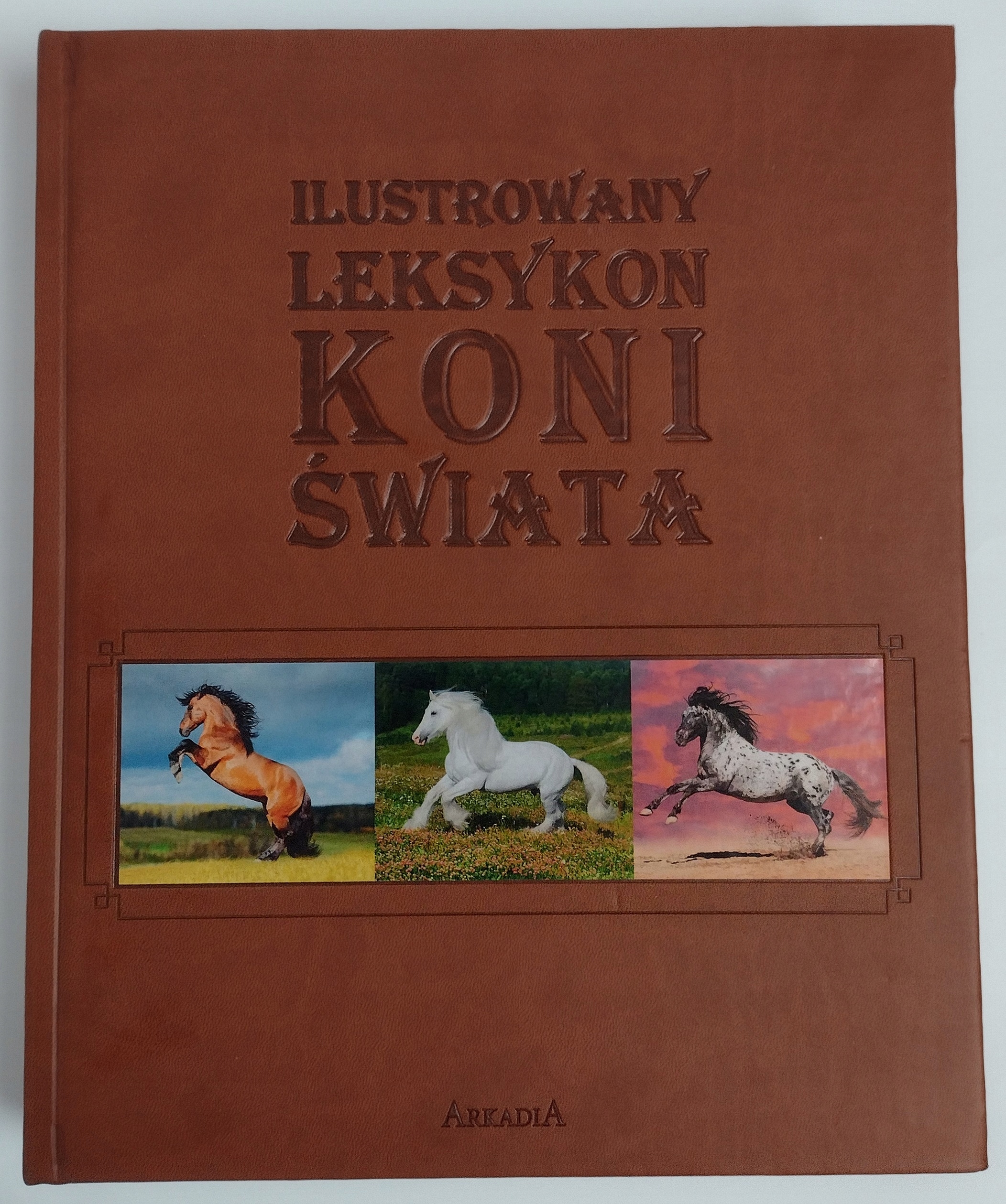 Ilustrowany leksykon koni świata – Odkryj fascynujący świat koni