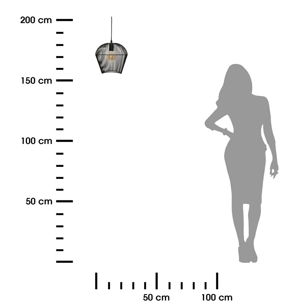 312389.jpg