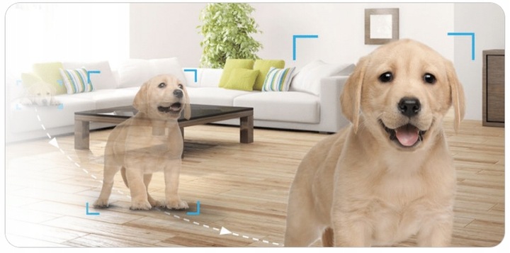 Inteligentne śledzenie ruchu – zawsze na bieżąco