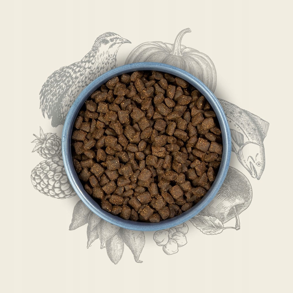 Wsparcie dla zdrowych stawów – Glukozamina, chondroityna i MSM