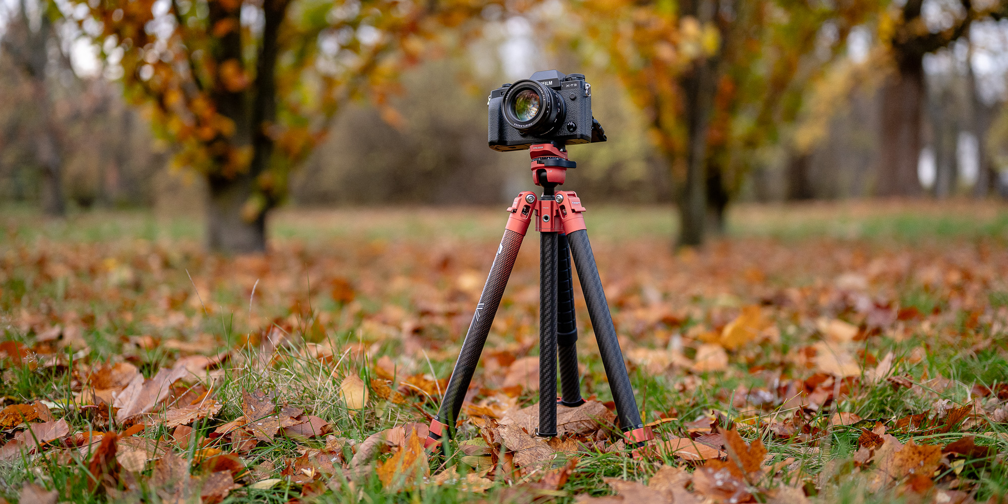 fotopro