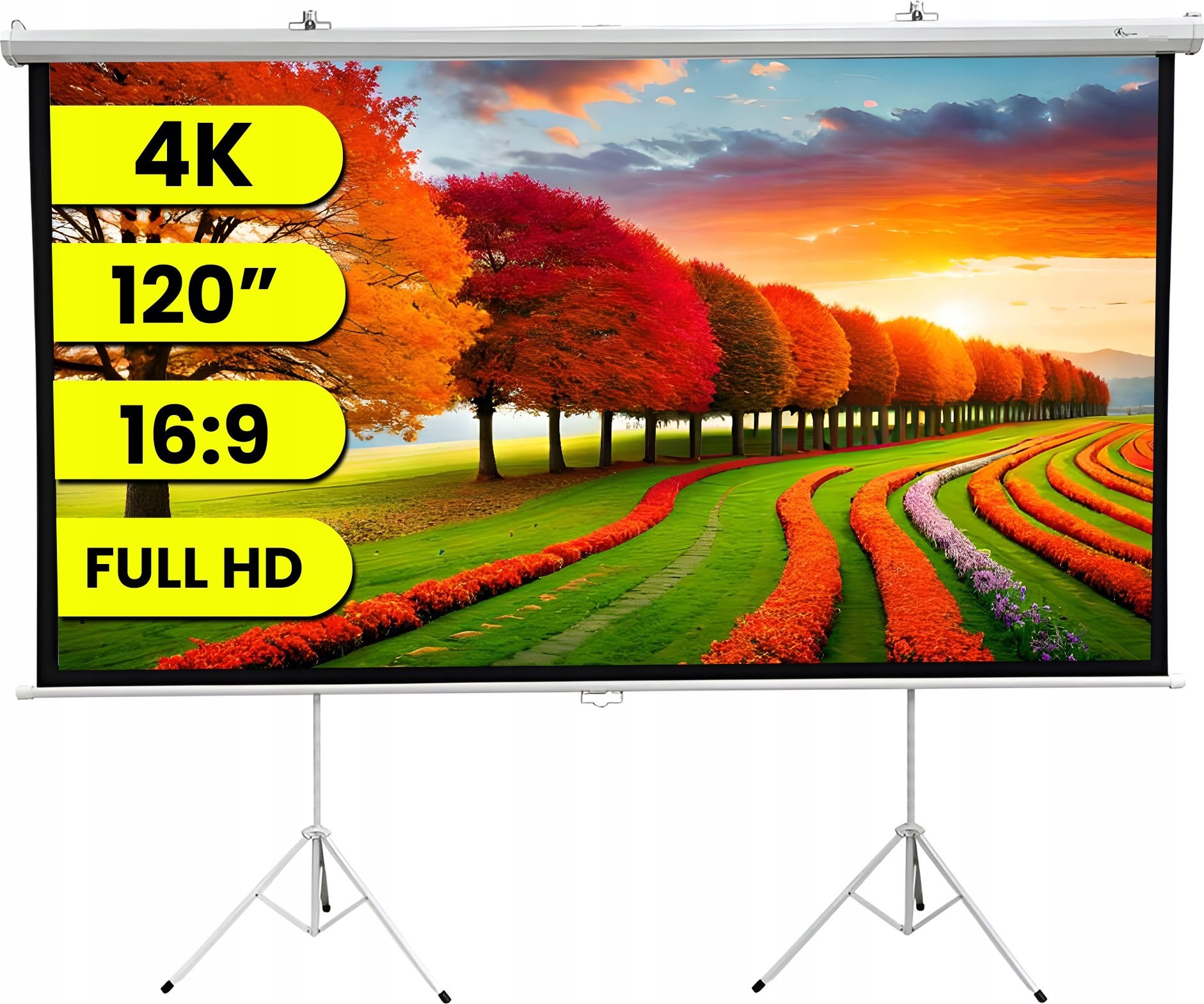Ekran do projektora Extralink Projection Screen 120