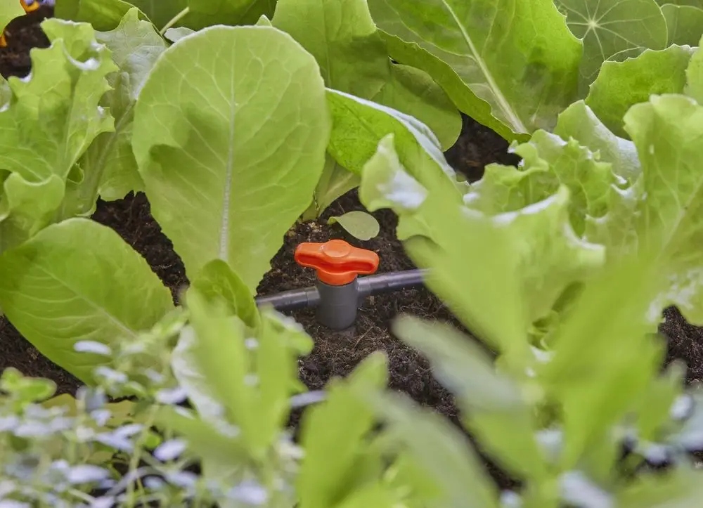 Płynna regulacja przepływu wody – Idealne dopasowanie do potrzeb roślin