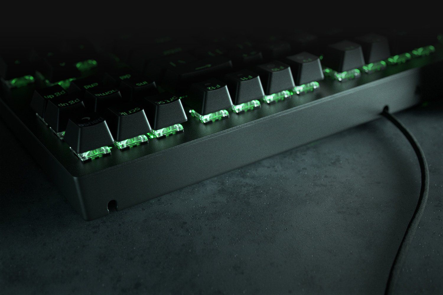 Razer BlackWidow V3 - keyboard - with media wheel, digital wheel - QWERTY -  US - black - RZ03-03541900-R3M1 - Keyboards 