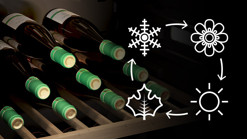 Eleganckie oświetlenie LED – Eksponuj swoje wina w stylu