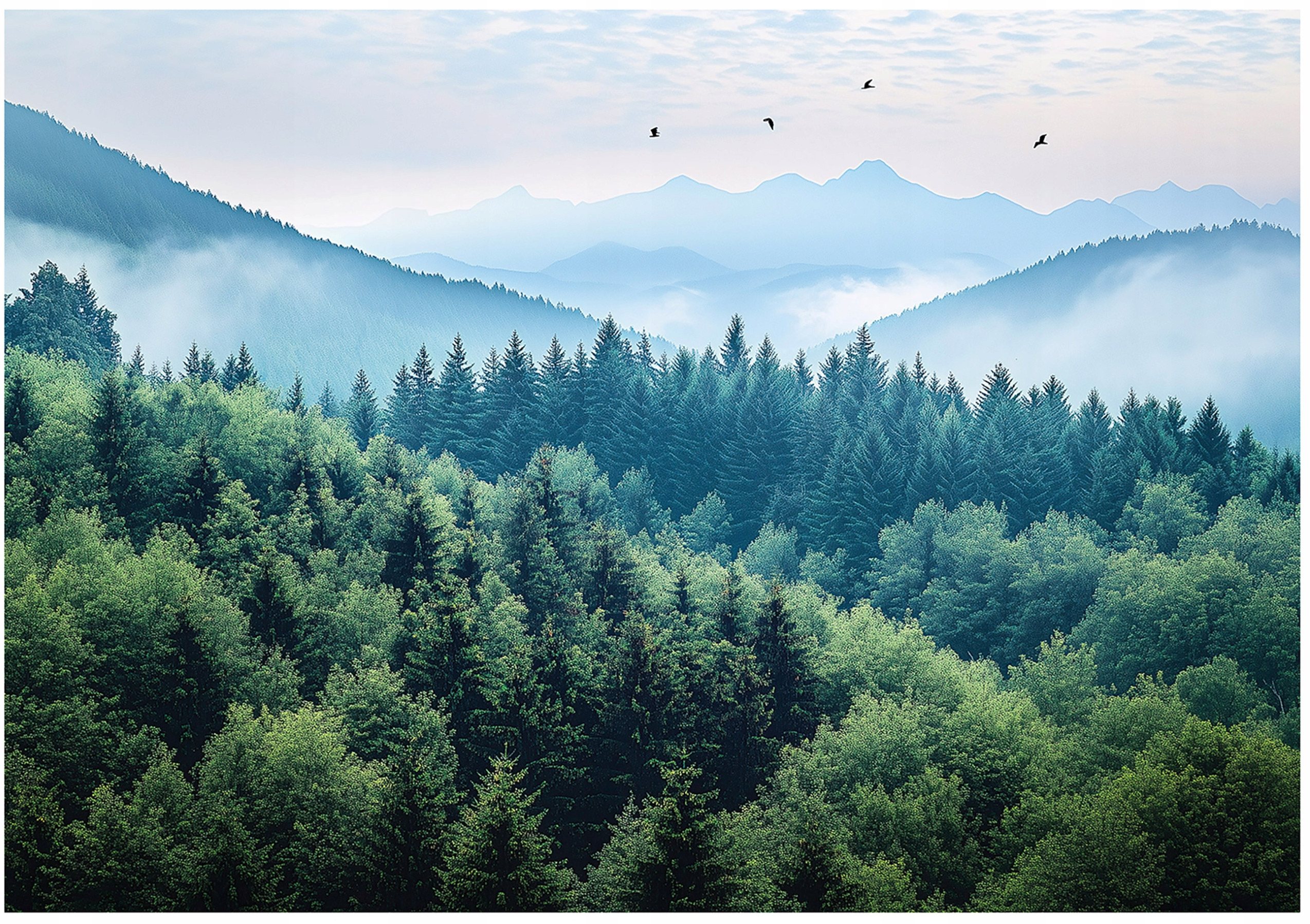 Fototapeta 3D Góry Las Mgła Natura Sypialnia Salon Tapeta Flizelina 350x250 – Ożyw swoje wnętrze
