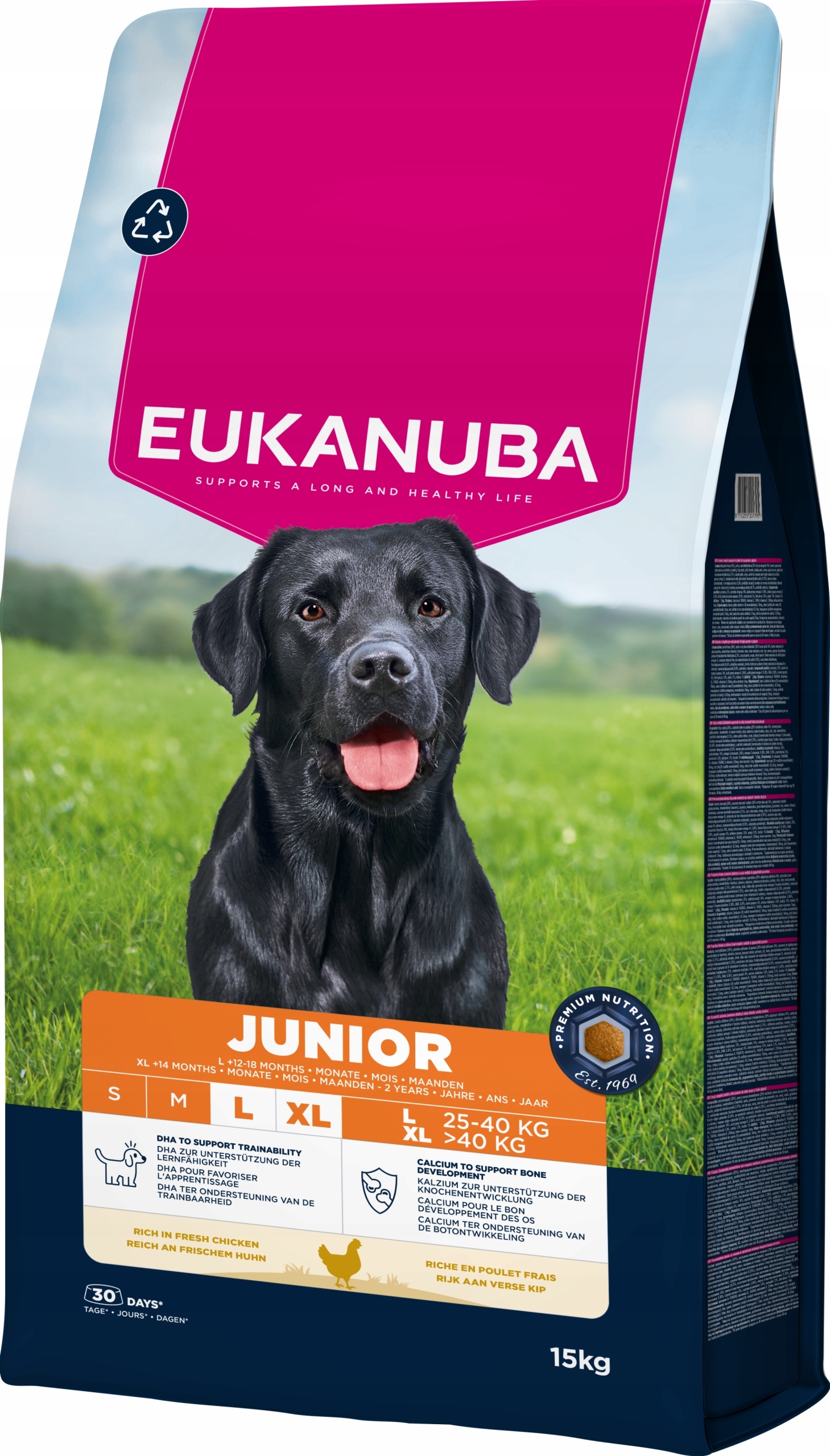 EUKANUBA Junior Large – Sucha karma dla młodych psów dużych ras