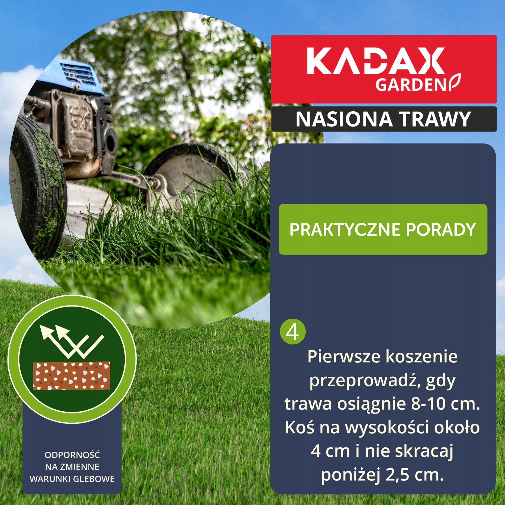 Prosta pielęgnacja – idealna dla zapracowanych ogrodników