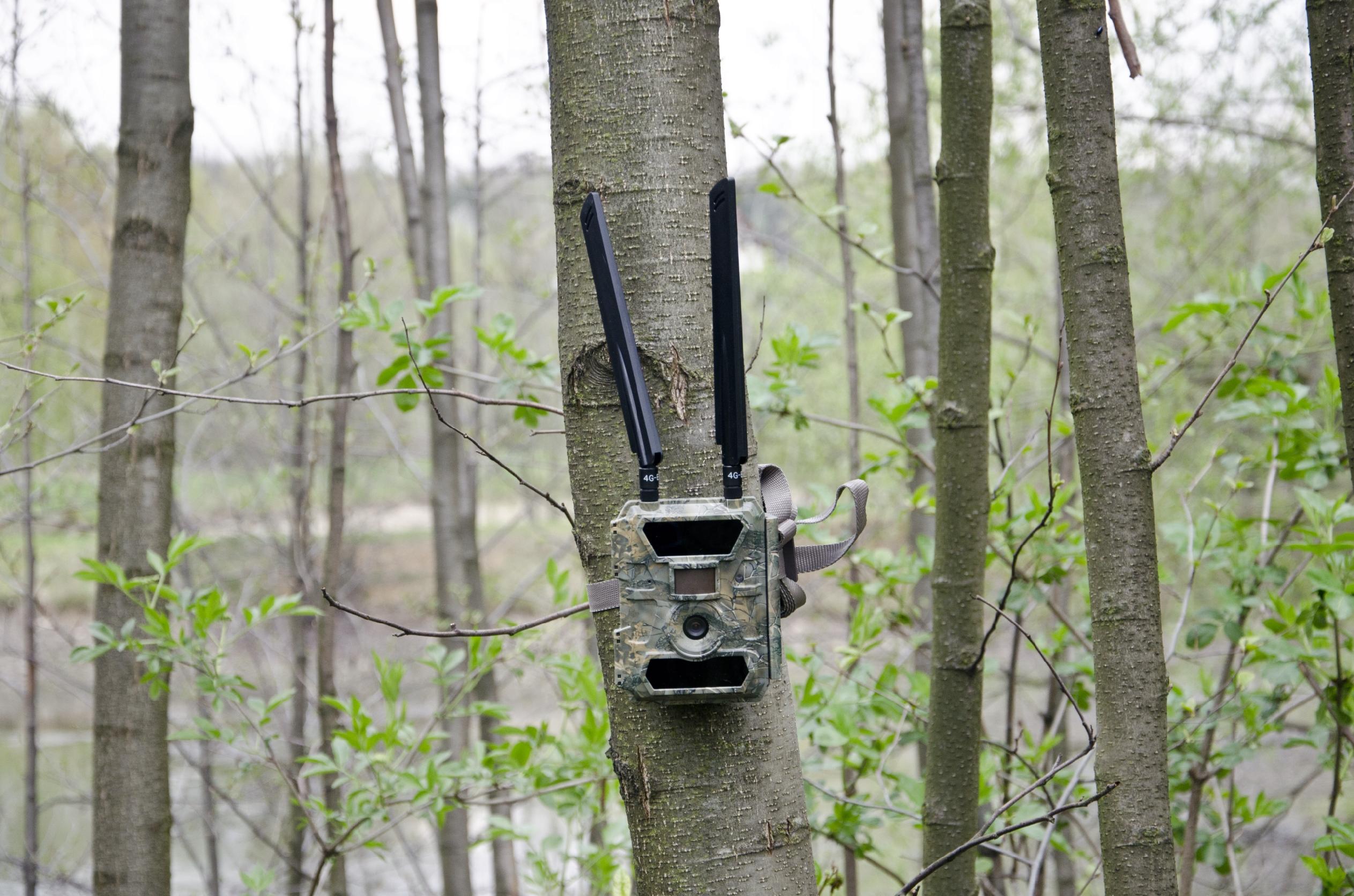 Wbudowany moduł GPS – Precyzyjna lokalizacja zdjęć