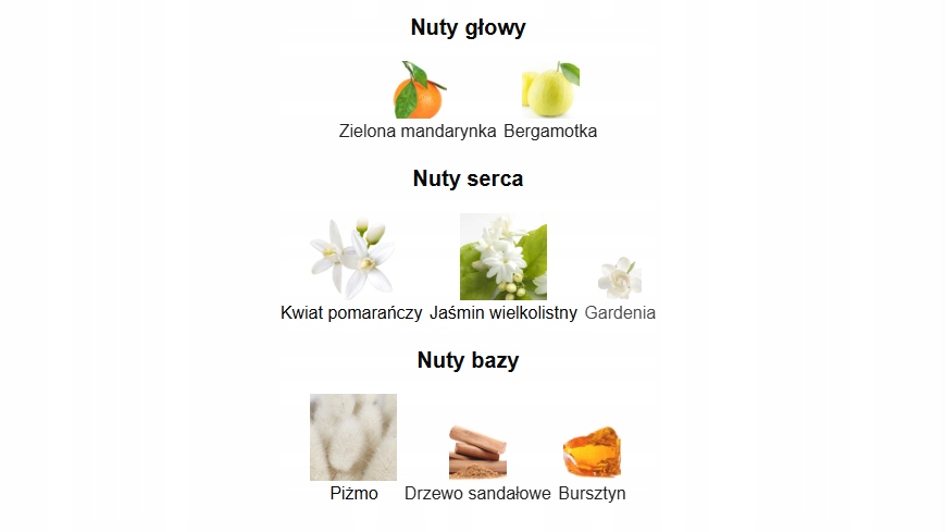 Nuty zapachowe: świeżość cytrusów i kwiatowa elegancja