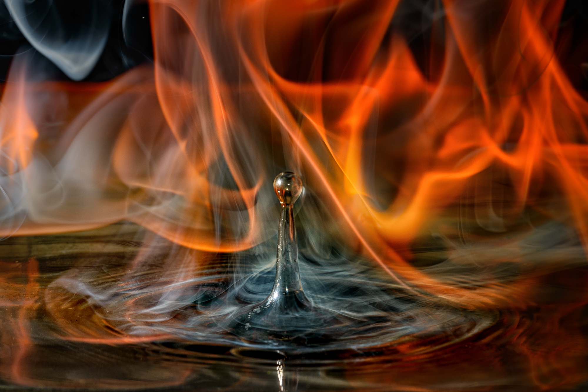 Obiektyw Laowa 100 mm f/2,8 Tilt-Shift 1x Macro do Nikon Z