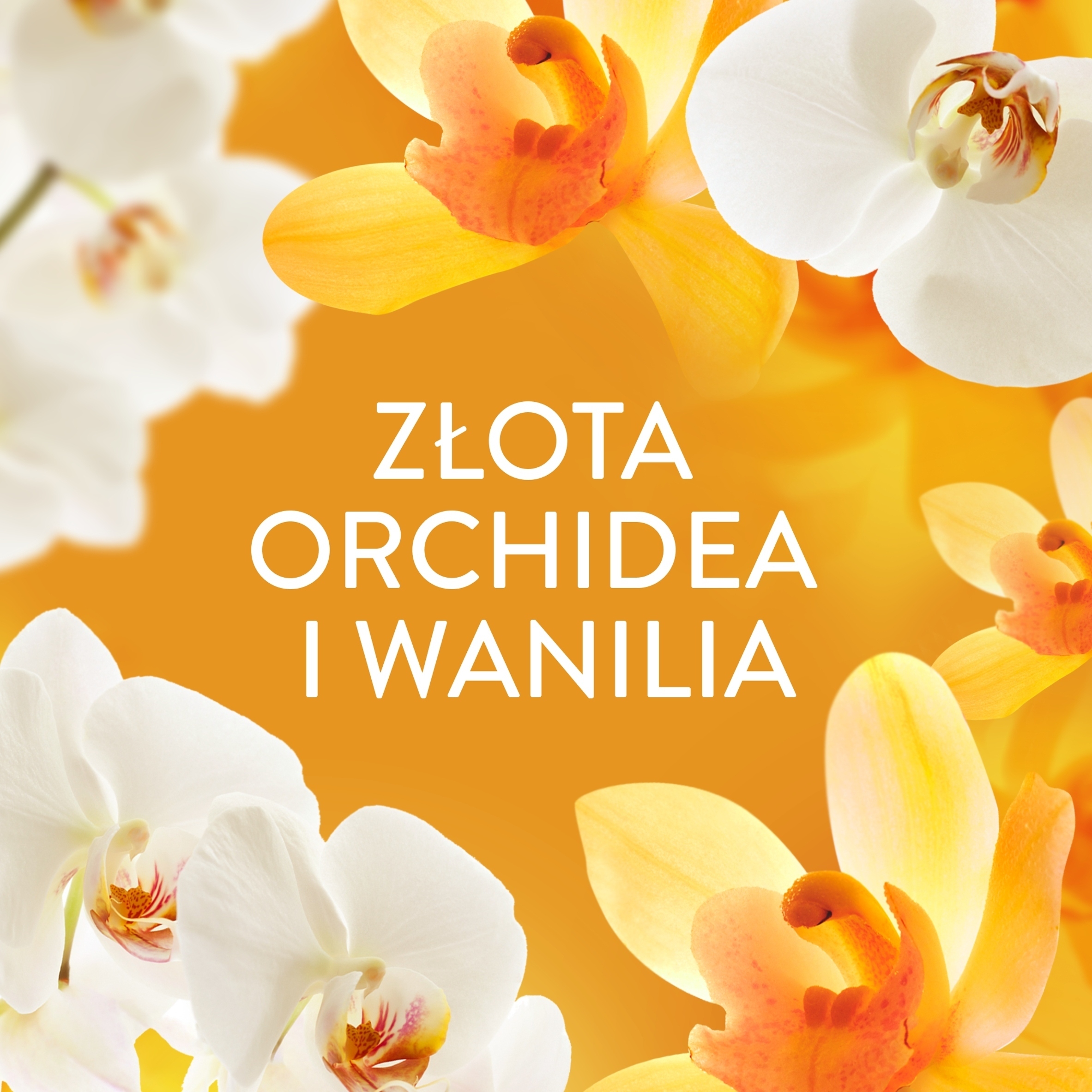 Wyjątkowe połączenie orchidei i wanilii