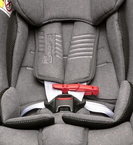 alternatywny opis obrazka