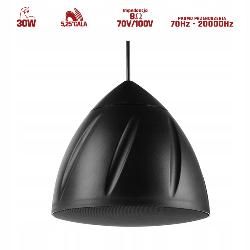 Zastosowanie w systemach 100V i 8 Ohm – wszechstronność w każdym wnętrzu