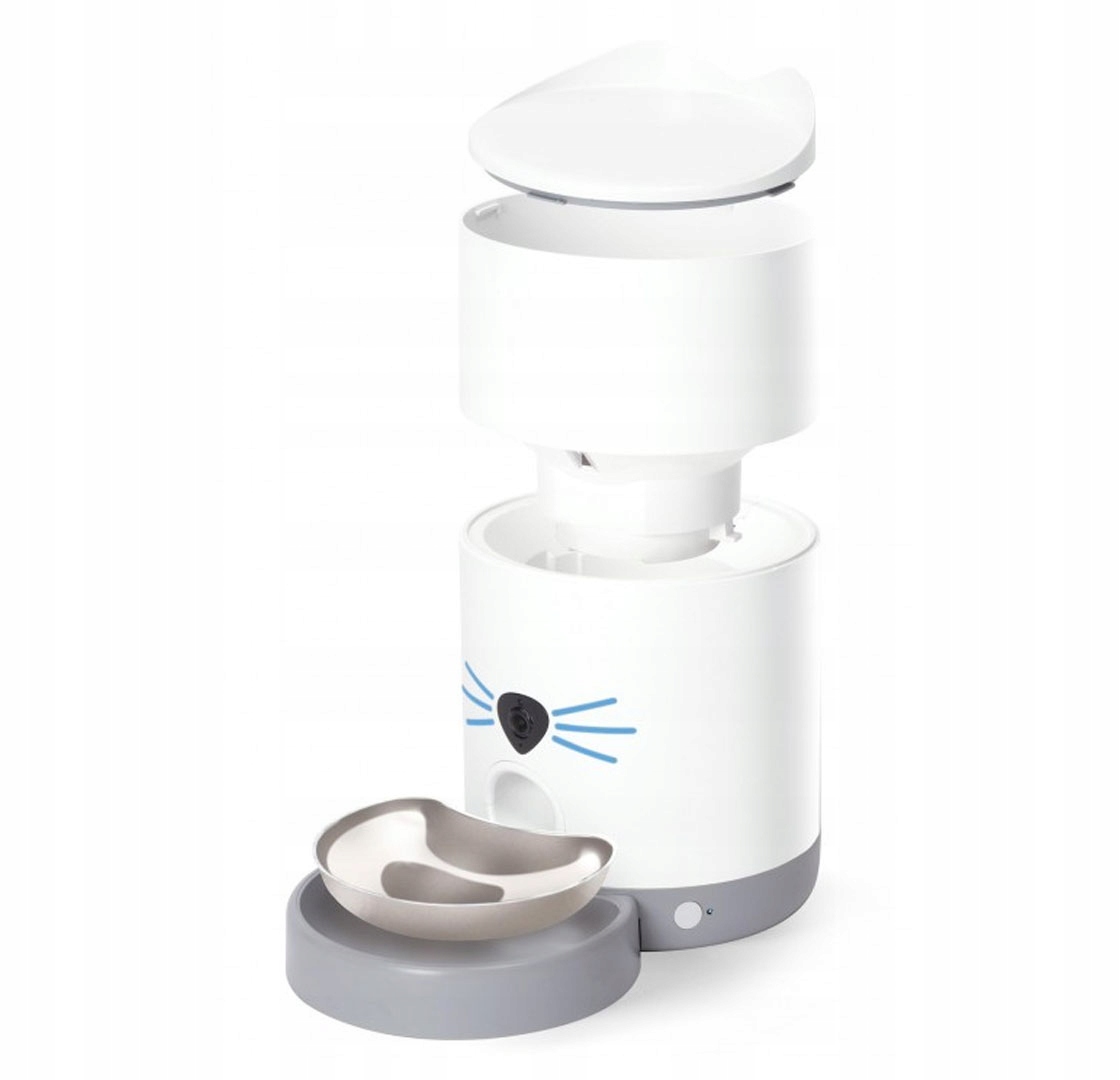 Uroczy design z kocimi uszami