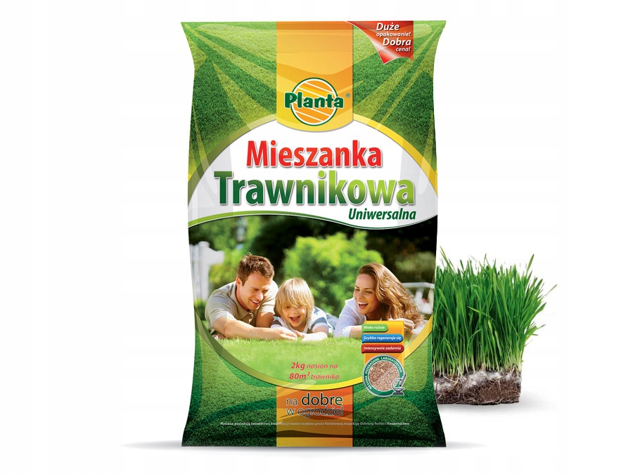 Mieszanka nasion traw gazonowych 80 m² 2 kg – Idealne rozwiązanie dla Twojego ogrodu