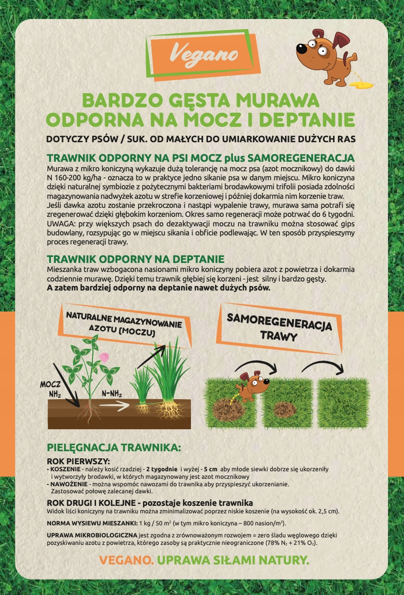 Cechy charakterystyczne trawnika Vegano – Przyjazny dla zwierząt