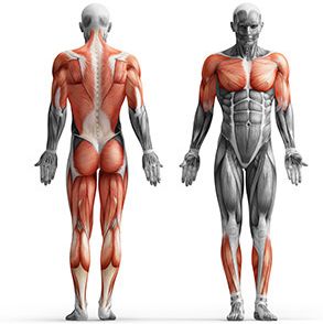 Sztanga gumowana łamana czarny połysk 10 kg - Marbo Sport