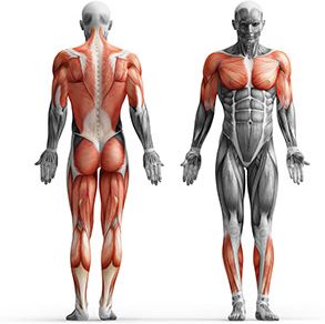 Gryf prosty wzmocniony fi29mm 198 cm - Marbo Sport