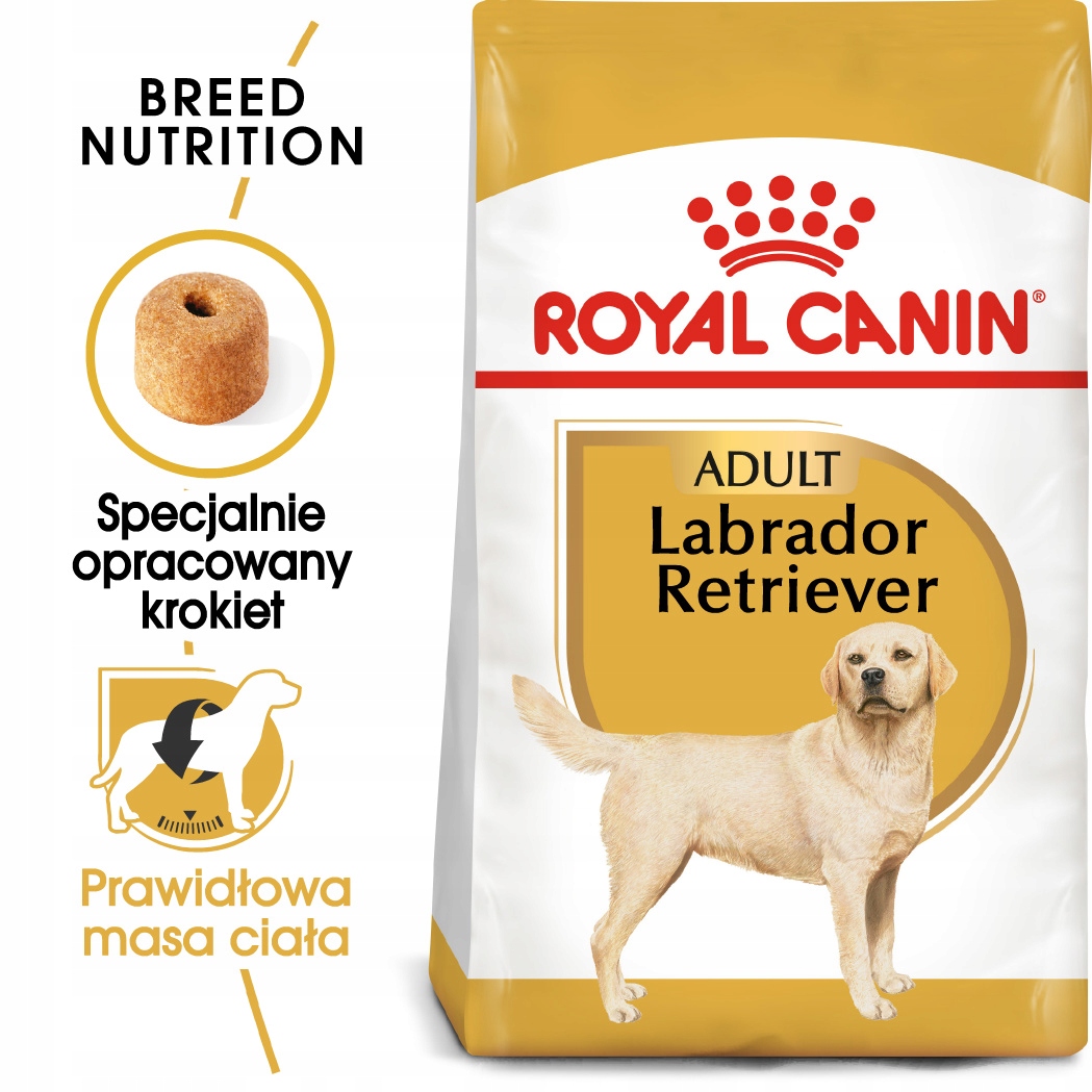 Korzyści zdrowotne dla Labradorów