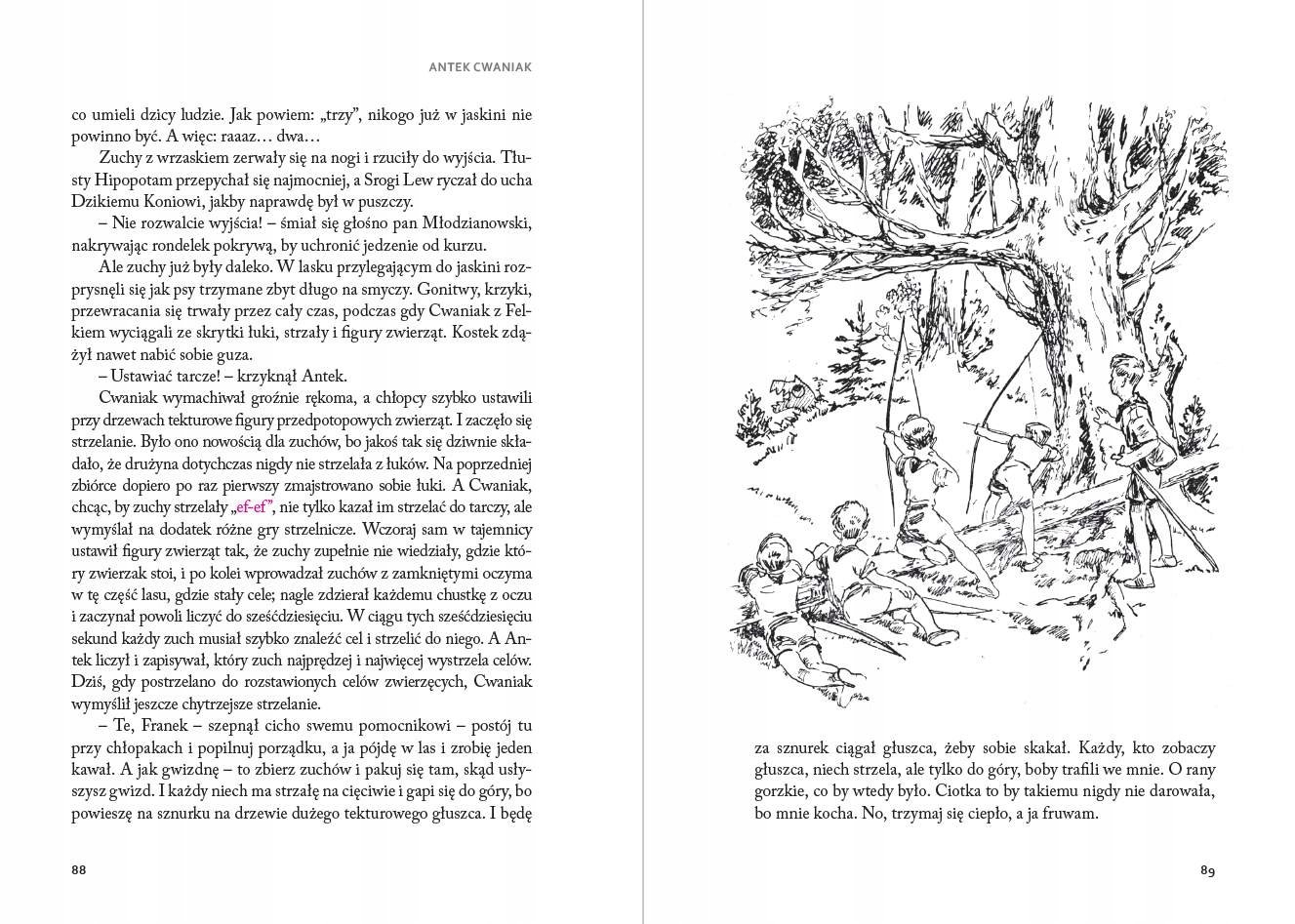 Inspirujące przygody Antka Cwankiewicza i jego ferajny