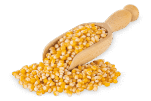 Ikona składnika: Kukurydza