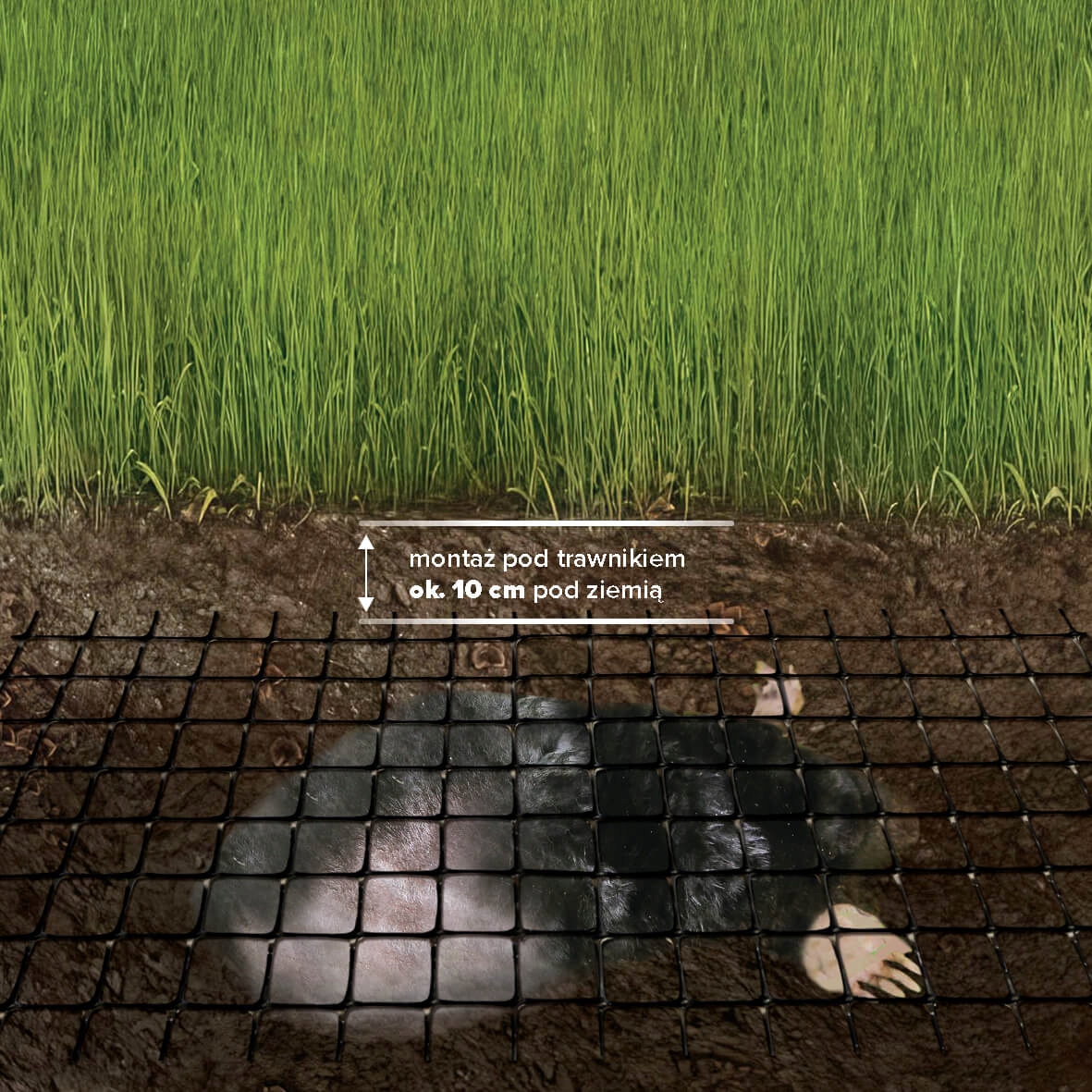 Jak zamontować siatkę na krety? – Prosty przewodnik krok po kroku