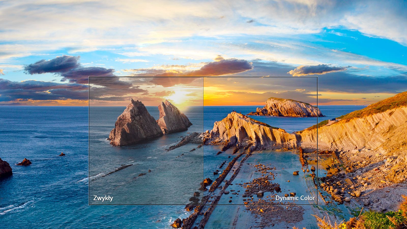 03_LK59_A_Dynamic_color_desktop