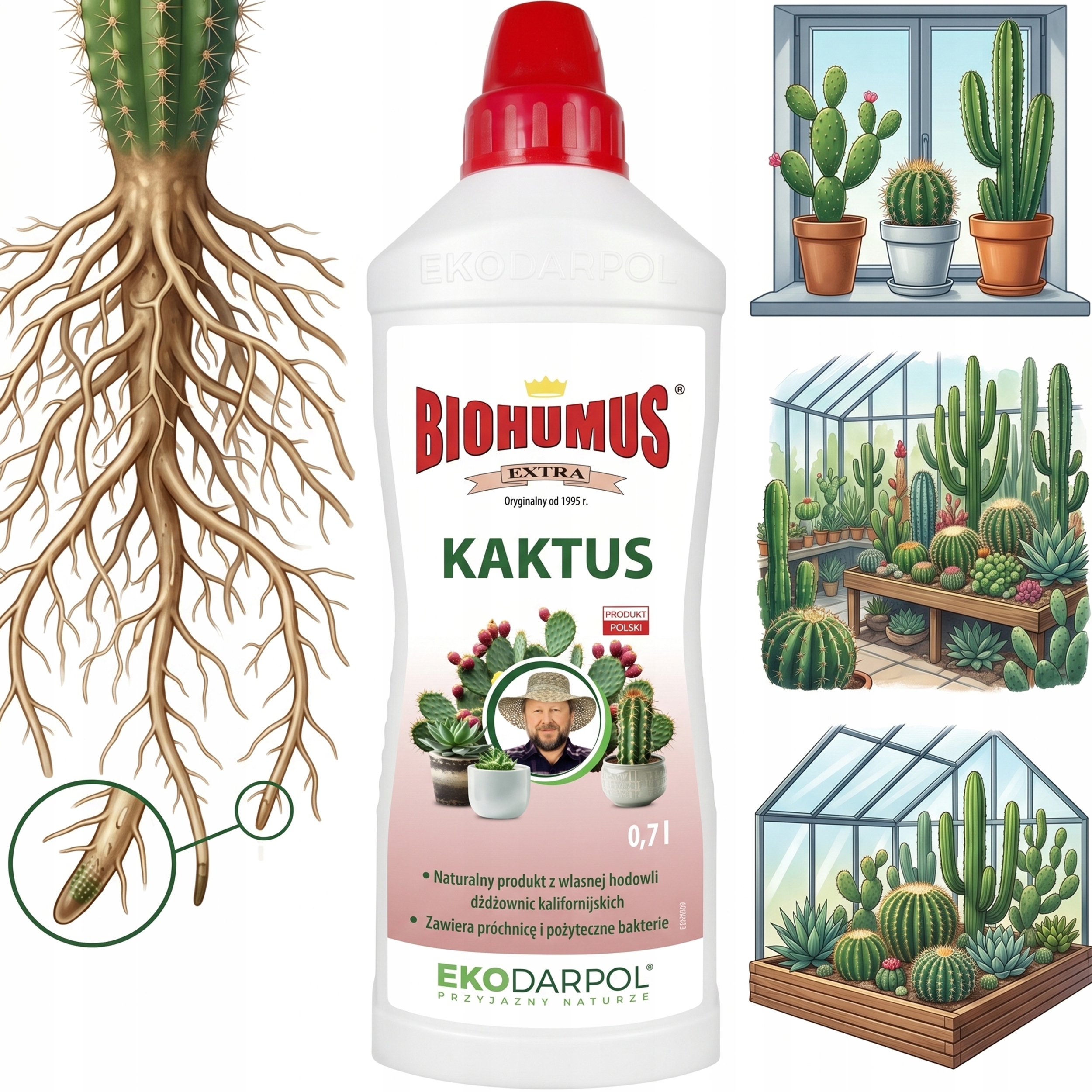 Biohumus Extra Kaktus 0,7 L – Nawóz do kaktusów i sukulentów