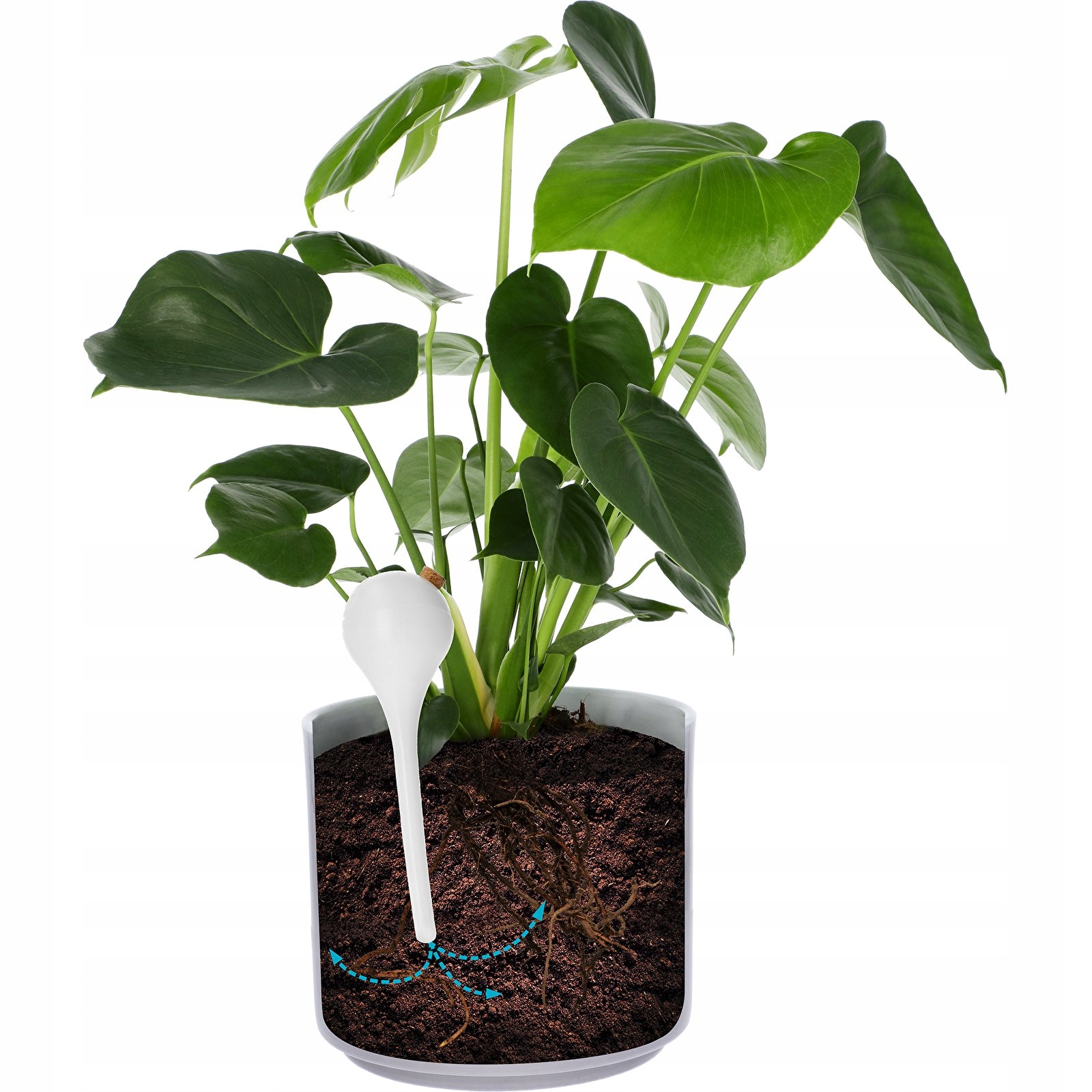 Praktyczne kule nawadniające – Utrzymanie odpowiedniego nawilżenia