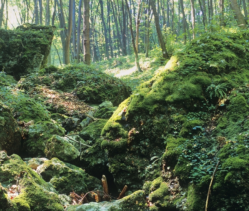 Ozdobne Fotografię Krajobrazów na Każdy Miesiąc