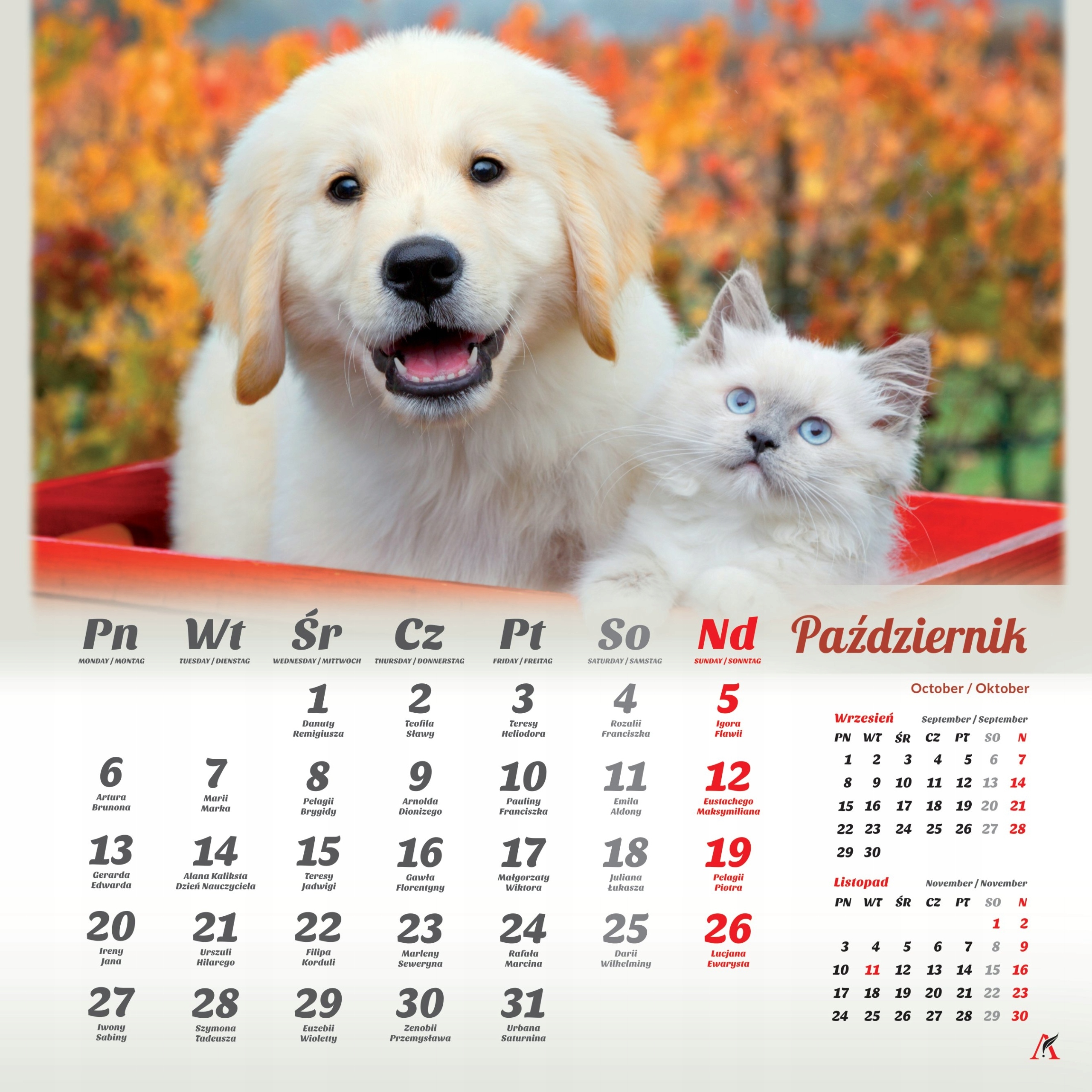 Emocjonalne zdjęcia przyjaźni – Inspiracja na każdy miesiąc