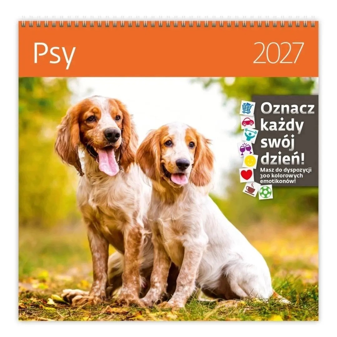 Kalendarz 2027 ścienny 30x30cm Psy EDUKAMP – Idealny towarzysz organizacji
