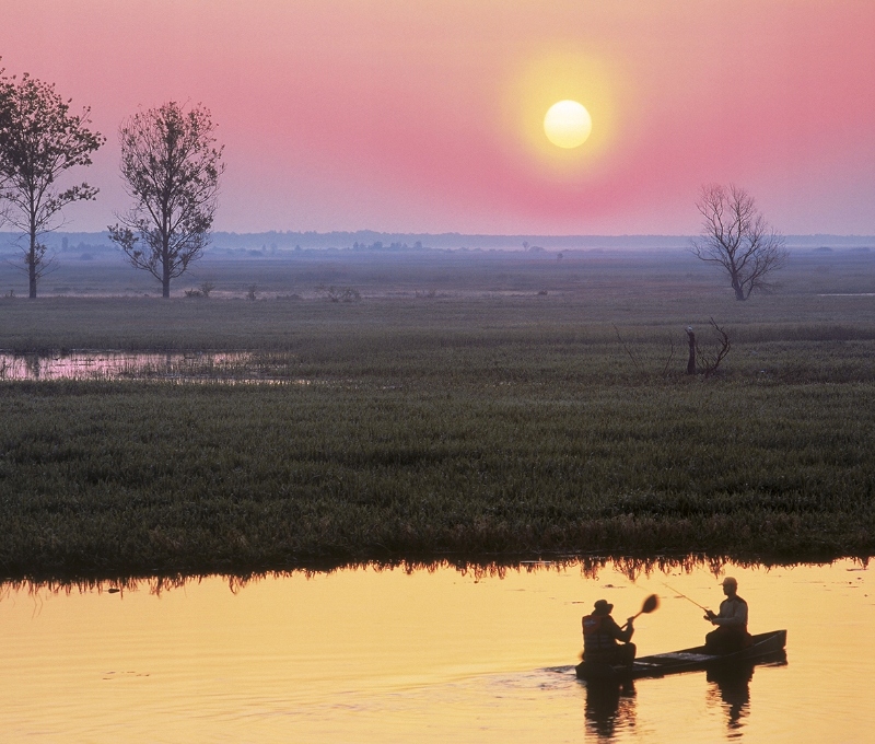 Kolorowe Niedziele i Imieniny w Kalendarzu