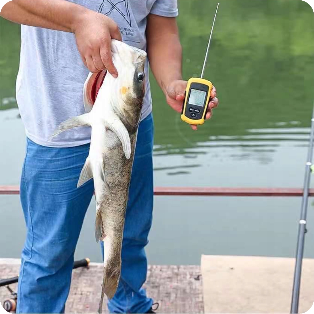 Zdominuj łowisko dzięki precyzyjnym informacjom