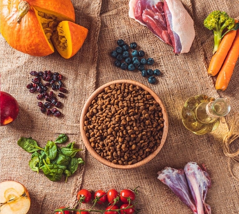 Wysokiej jakości składniki odżywcze dla młodych psów