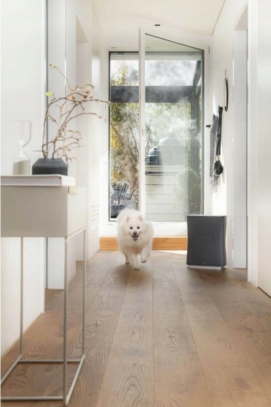 Oczyszczacz powietrza Stadler Form Roger Little 2 – rozwiązanie dla Twojego domu