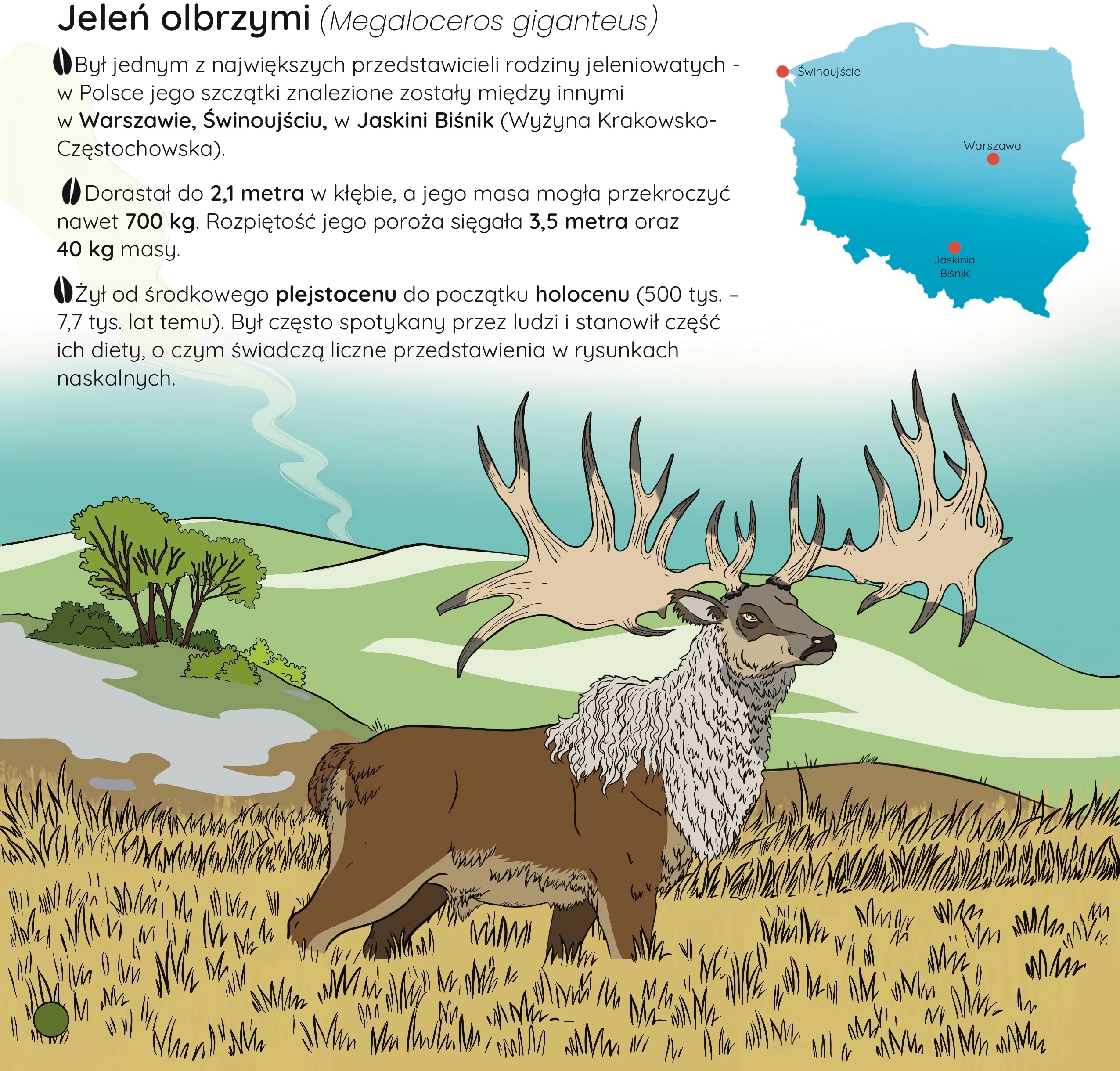 Fascynujący świat zwierząt z epoki lodowcowej