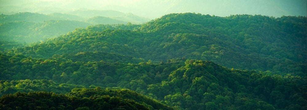 Ekologiczne materiały i zrównoważona produkcja