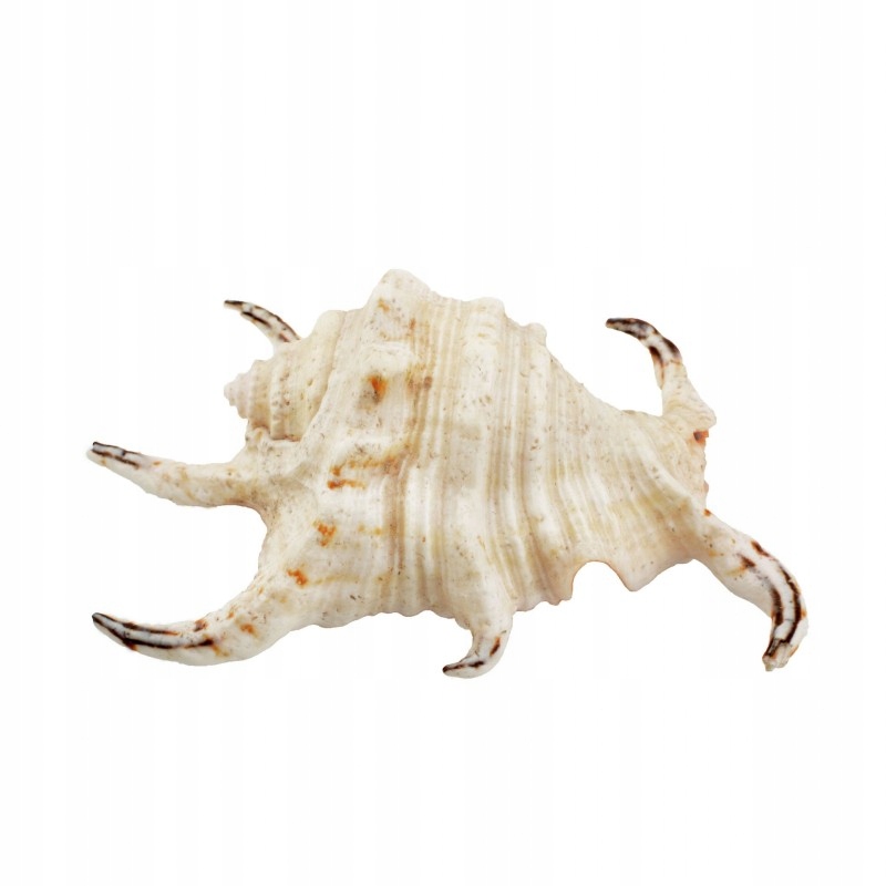 Trwałość i bezpieczeństwo materiałów