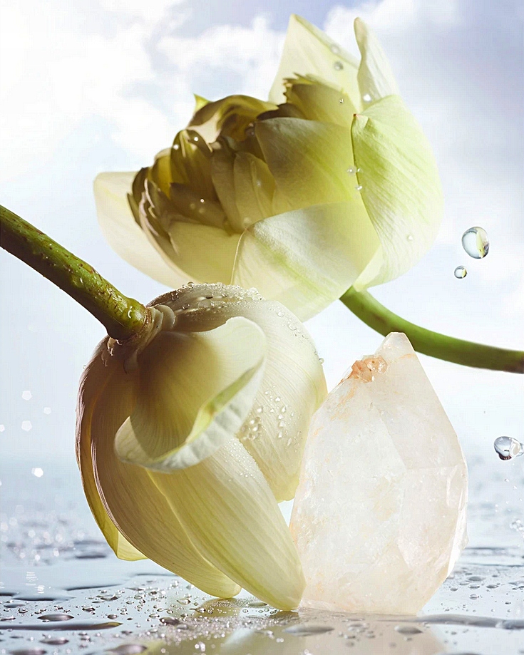 Nuty serca: Biały Lotos i Piżmo