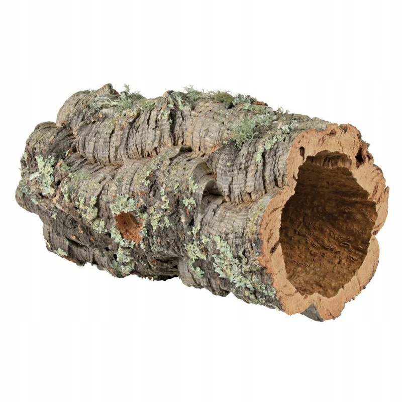 Tuby korkowe – Idealne dla małych jaszczurek i pająków