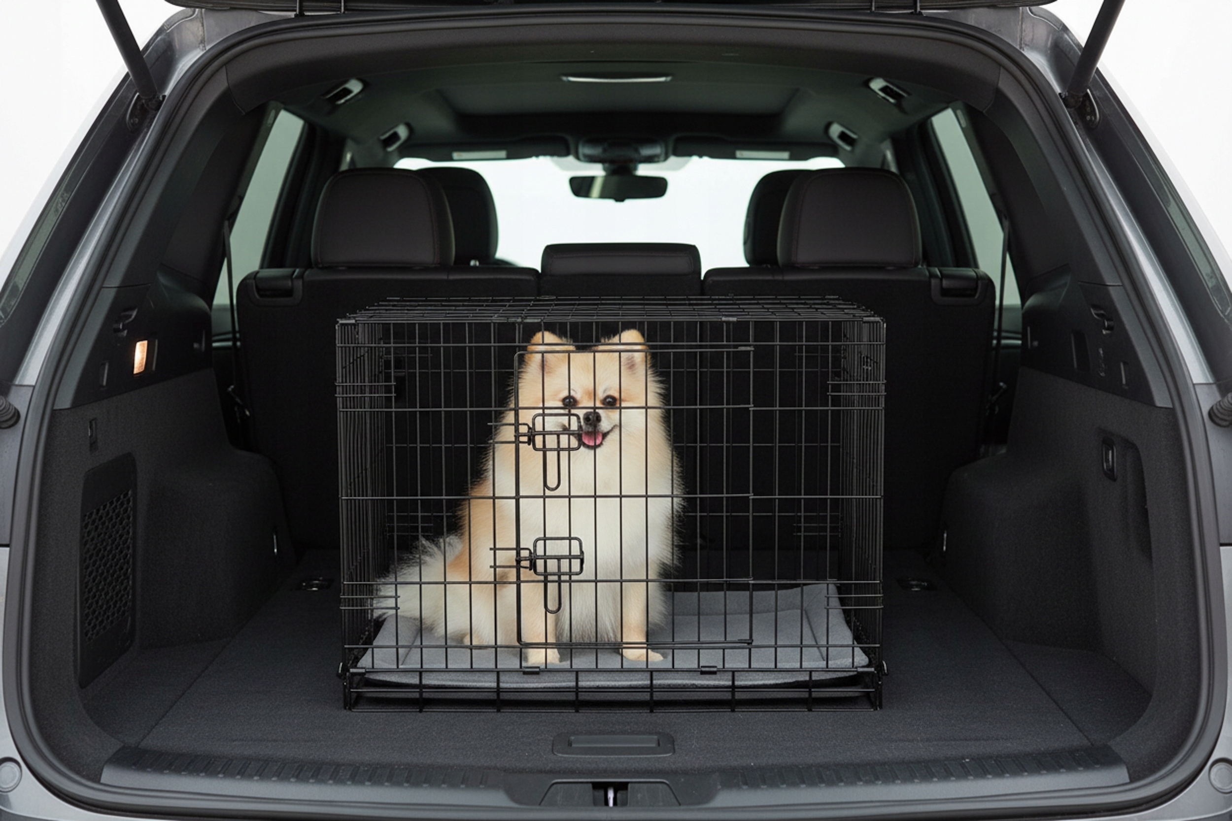 Wytrzymała konstrukcja i funkcjonalność klatki