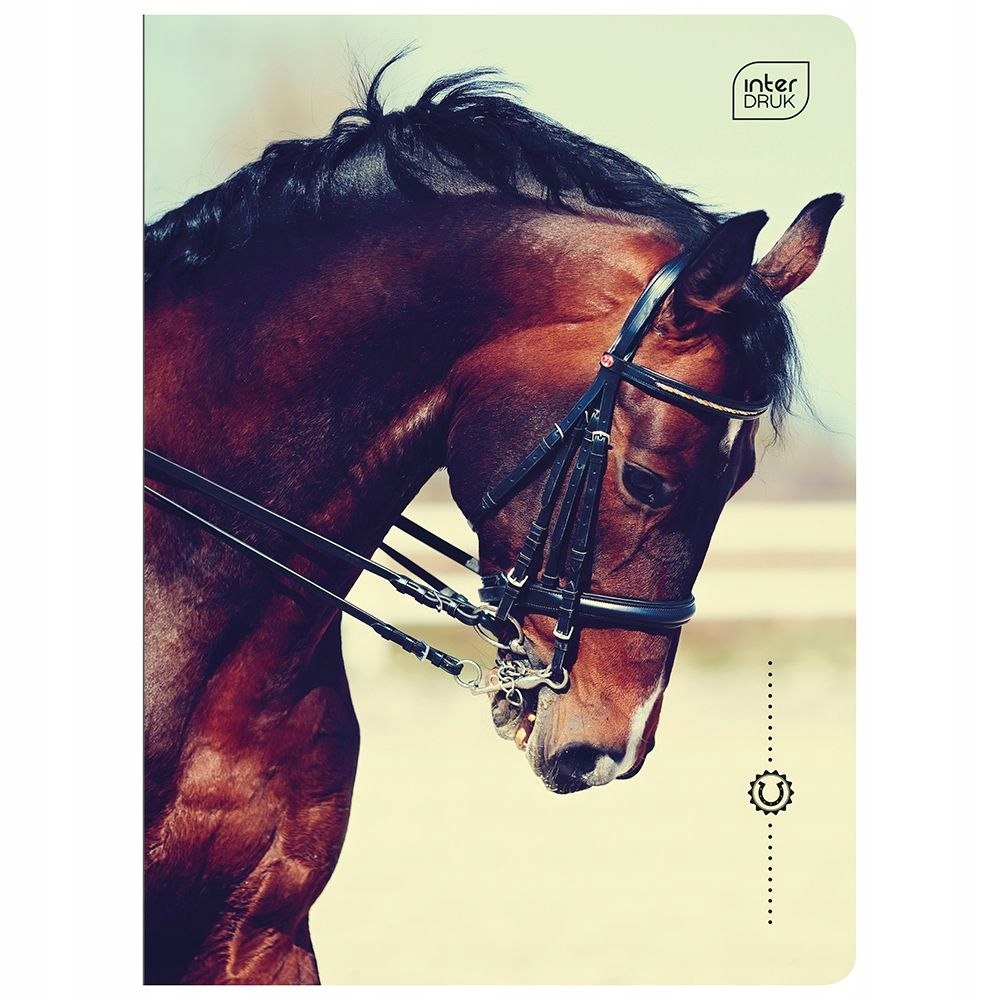 Optymalne parametry: 16 kartek i format A5