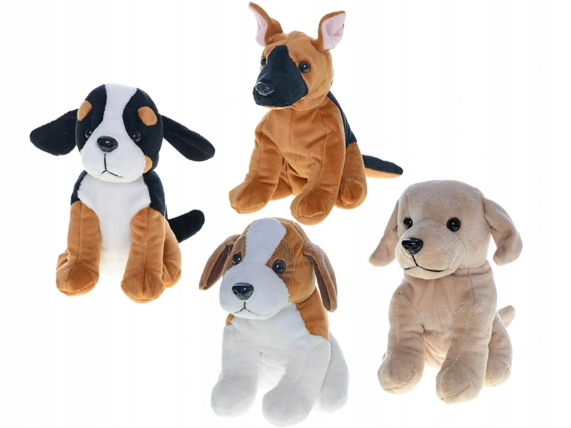 Różnorodność ras – Berneński pies pasterski, owczarek niemiecki i inne