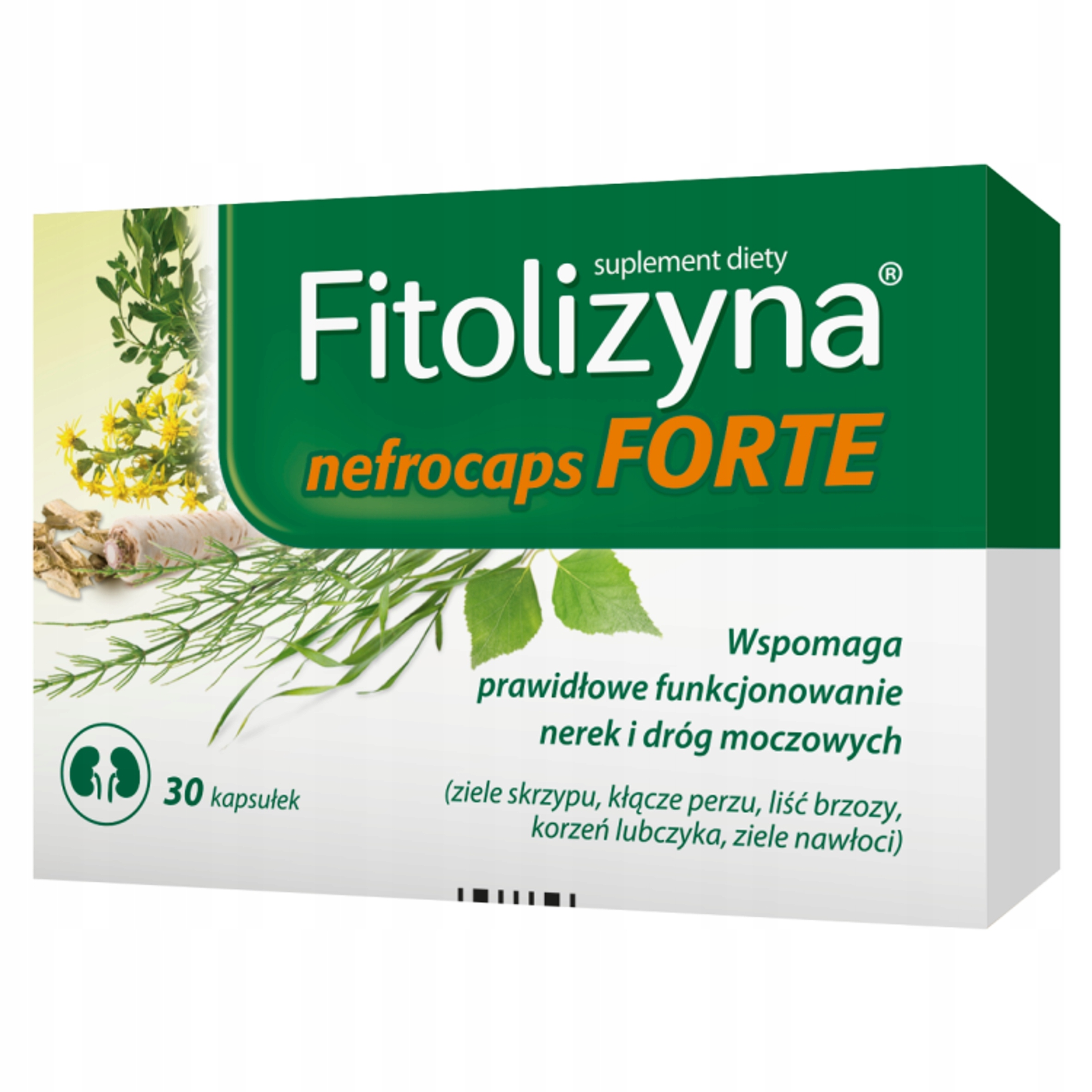 Fitolizyna Nefrocaps Forte – Suplement diety dla zdrowia nerek